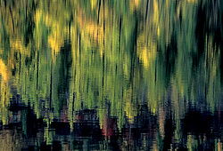 ��������� �������, ������������� �����, ���������, �������� ���� ������, ׸���� �����