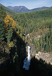 ��������� �������, ������������� �����, ���������, �������� ���� ������, ��������� �������