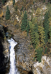 ��������� �������, ������������� �����, ���������, �������� ���� ������, ��������� �������