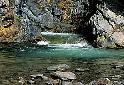 ��������� �������, ������������� �����, ���������, �������� ���� ������, ����� ������� ��������