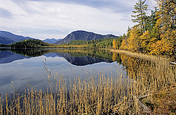 ��������� �������, ������������� �����, ���������, ����������� ������ ������� ������, ������� ��������� �����