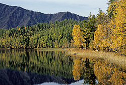 ��������� �������, ������������� �����, ���������, ����������� ������ ������� ������, ������� ��������� �����