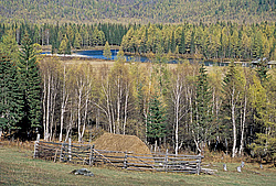 ��������� �������, ������������� �����, ���������, ���� ������, ����������� ������ ������� ������