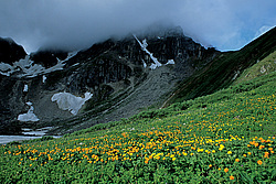 ��������� �������, ������������� �����, ���������, ������ ���� �����