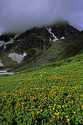 ��������� �������, ������������� �����, ���������, ������ ���� �����