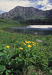 ��������� �������, ������������� �����, ���������, ������ ���� �����