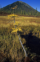 ��������� �������, ������������� �����, ���������, ������� ��� ����� � ����� �����