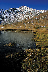 ��������� �������, ������������� �����, ���������, ������ ���� ����� �����