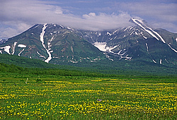 ������, ��������, �������� ���� ��������