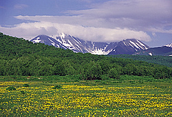 ������, ��������, �������� ���� ��������