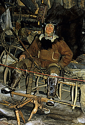 ������, ��������, ������ ����, ����������� ��������������� �����