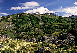 ������, ��������, ����� ������� ��������, ����� �������, ���-�������� �����, ��� �� ������ ��������