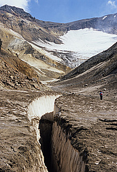 ������, ��������, ������ ����������, ���� � ������