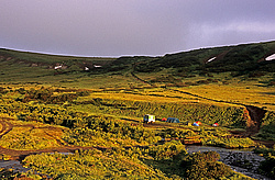 ������, ��������, ����������� ����������� �����, ���-�������� ��������, ����� ���������