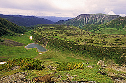 ������, ��������, ������� ����� ��������� �������� � ����-��������