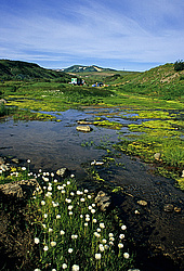 ������, ��������, ����� �������� ����������� �����, ����� ���������