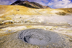 ������, ��������, ������ ����������, �������� �����