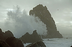 ����������� �������, ����� ��������� ����, ���������� ����, ��� �����