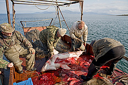 ����������� �������, ����� ��������� ����, ���������� ����, � ���� �������