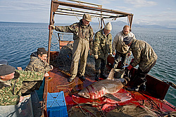 ����������� �������, ����� ��������� ����, ���������� ����, � ���� �������