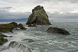 ����������� �������, ����� ��������� ����, ���������� ����, ��� �����, ��� �� ������ ���������