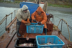 ����������� �������, ����� ��������� ����, ���������� ����, � ���� �������