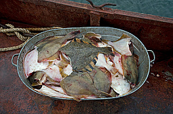 ����������� �������, ����� ��������� ����, ���������� ����, � ���� �������