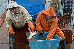 ����������� �������, ����� ��������� ����, ���������� ����, � ���� �������