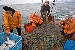 ����������� �������, ����� ��������� ����, ���������� ����, � ���� �������