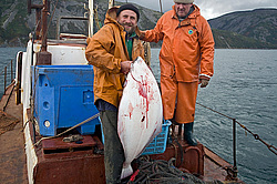 ����������� �������, ����� ��������� ����, ���������� ����, � ���� �������