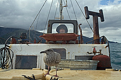 ����������� �������, ����� ��������� ����, ���������� ����, � ���� �������