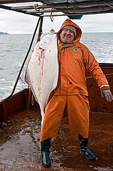 ����������� �������, ����� ��������� ����, ���������� ����, � ���� �������