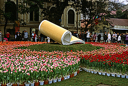 �������, �����, ����������� ����� ��������