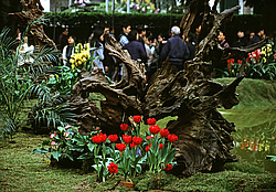 �������, �����, ����������� ����� ��������