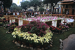 �������, �����, ����������� ����� ��������