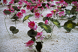 �������, �����, ����������� ����� ��������