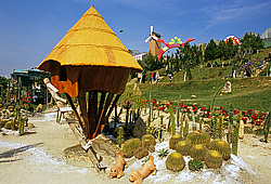 �������, �����, ��������� ���