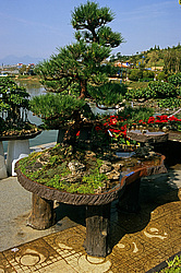 �������, �����, ��������� ���