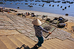 �������, �����