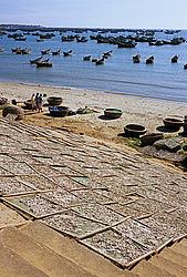 �������, �����