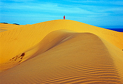 �������, �����, ������� ����