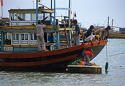 �������, �����