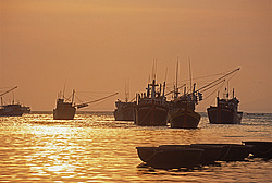 �������, �����