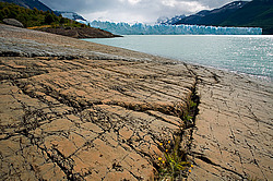 ����� �������, ���������, ������������ ���� ��� ���������, ������ ������ ������