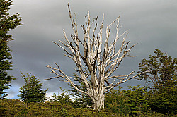 ����� �������, ���������, ������������ ���� ��� ���������, ������ ������ ������