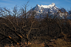 ����� �������, ����, ������������ ���� ������ ���� �����, ����� ����, ������� ����