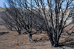 ����� �������, ����, ������������ ���� ������ ���� �����, ����� ����, ������� ����