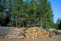 ������, ������, ���������� ����, ������� �����, ������ ����(����)