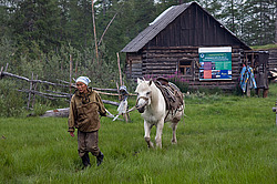 �������� ������ (Equus ferus caballus) �����, ����� ���� �����, ������� ������� ������, ���� ����, ������� �����, ������