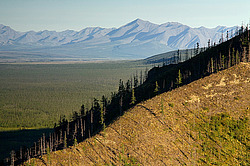 ������, ������, ���������� ����, ������� �����, ���� ����, ����� �������